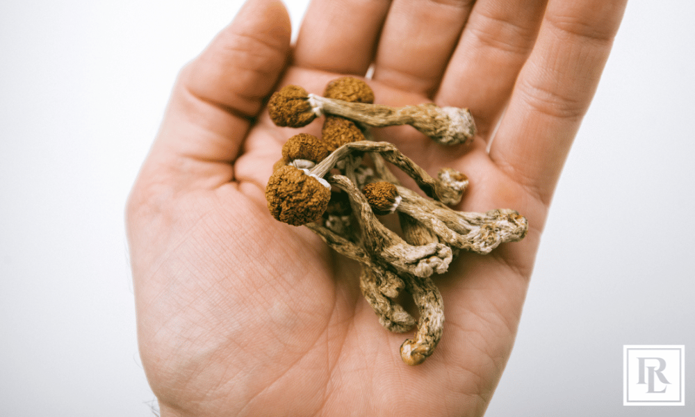 Psilocybin