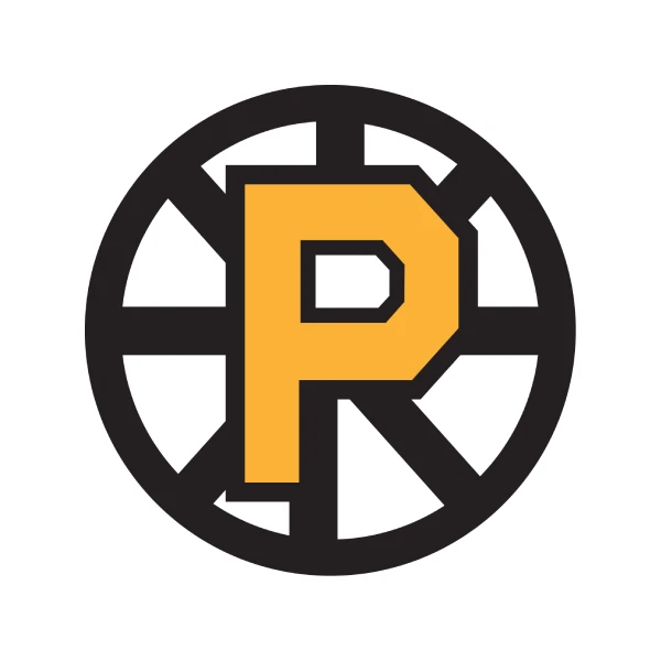 Providence Bruins logo