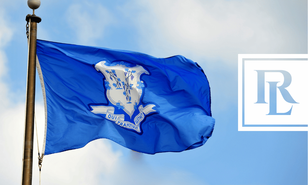 The Connecticut flag waving in the wind.
