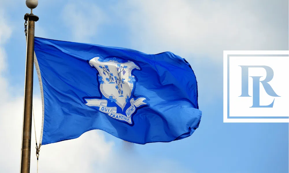 The Connecticut flag waving in the wind.