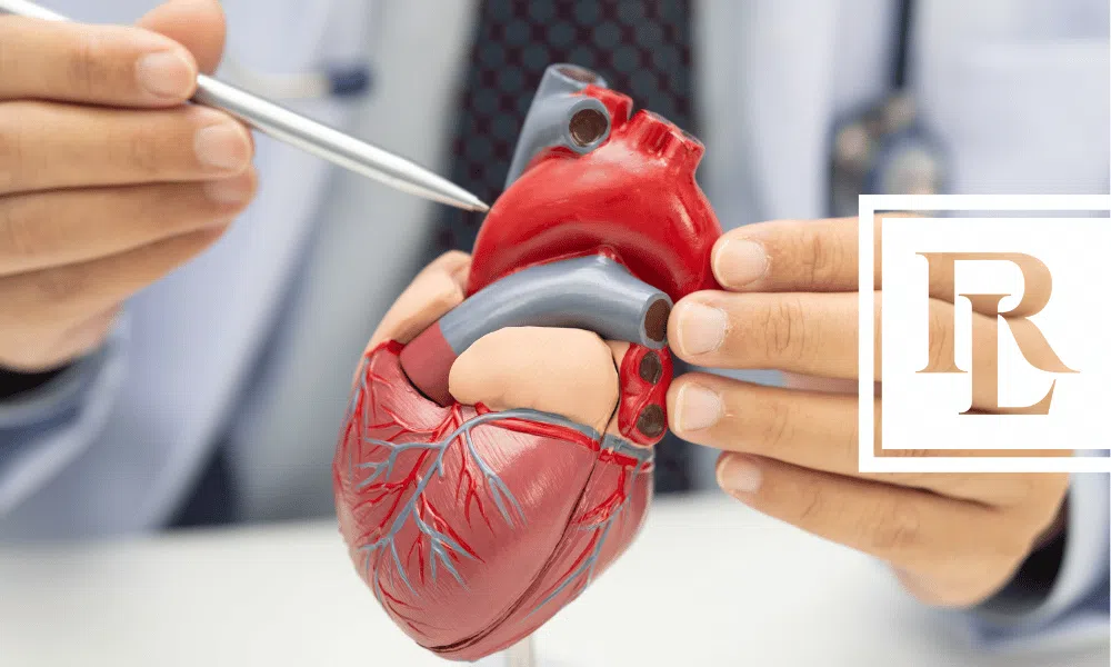 SSDI for Heart Disease and Cardiovascular Conditions
