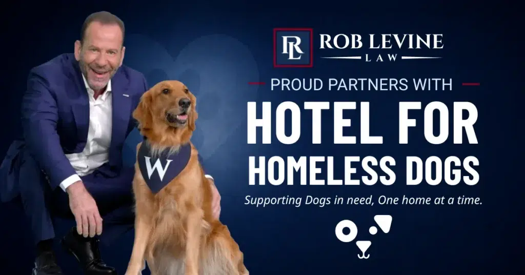 Rob Levine Law partnership with Hotel for Homeless Dogs