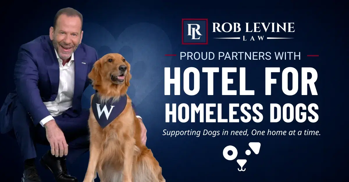 Rob Levine Law partnership with Hotel for Homeless Dogs